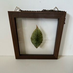 Framed Green Leaf Art
